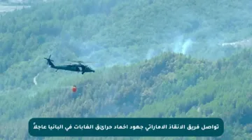 تواصل فريق الإنقاذ الإماراتي جهود إخماد حرائق الغابات في ألبانيا عاجلاً